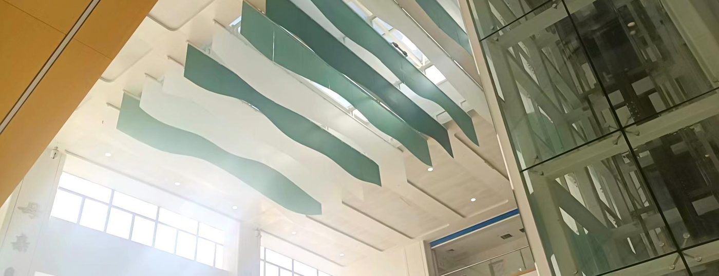 Maternal & Child Hospital, Mengzi - detail view