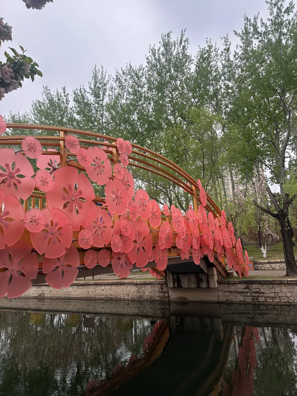 beijing flower bridge image 4
